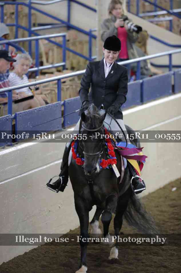 Proof 15R11_00555