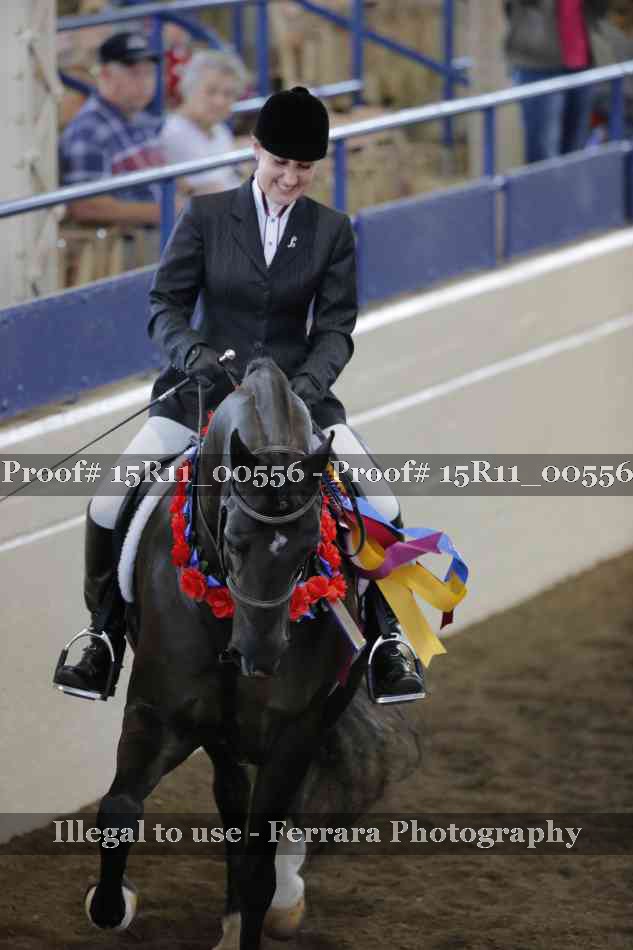 Proof 15R11_00556