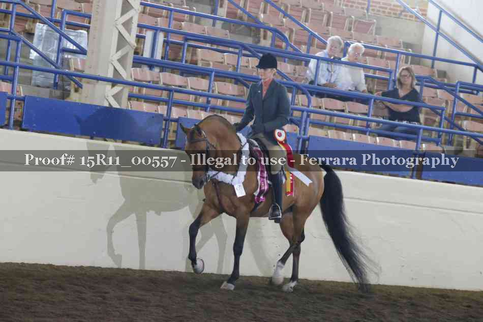 Proof 15R11_00557