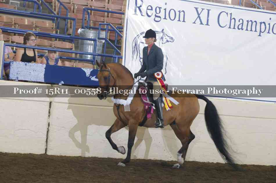 Proof 15R11_00558