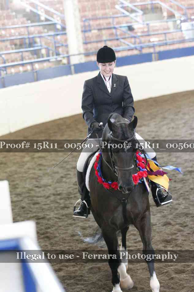 Proof 15R11_00560