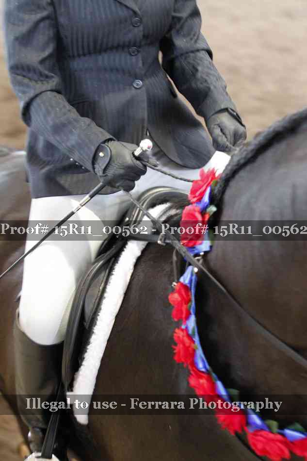 Proof 15R11_00562