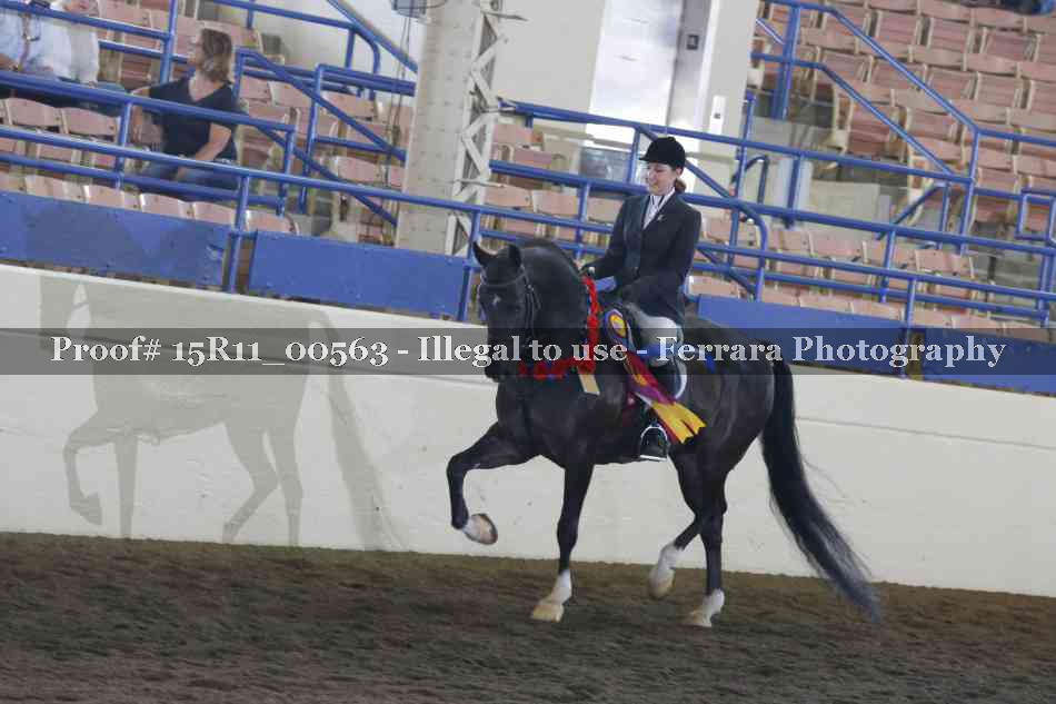 Proof 15R11_00563