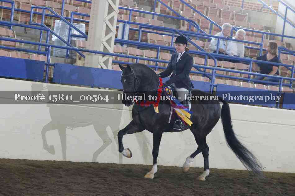 Proof 15R11_00564