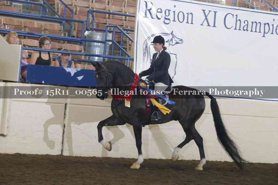 Proof 15R11_00565