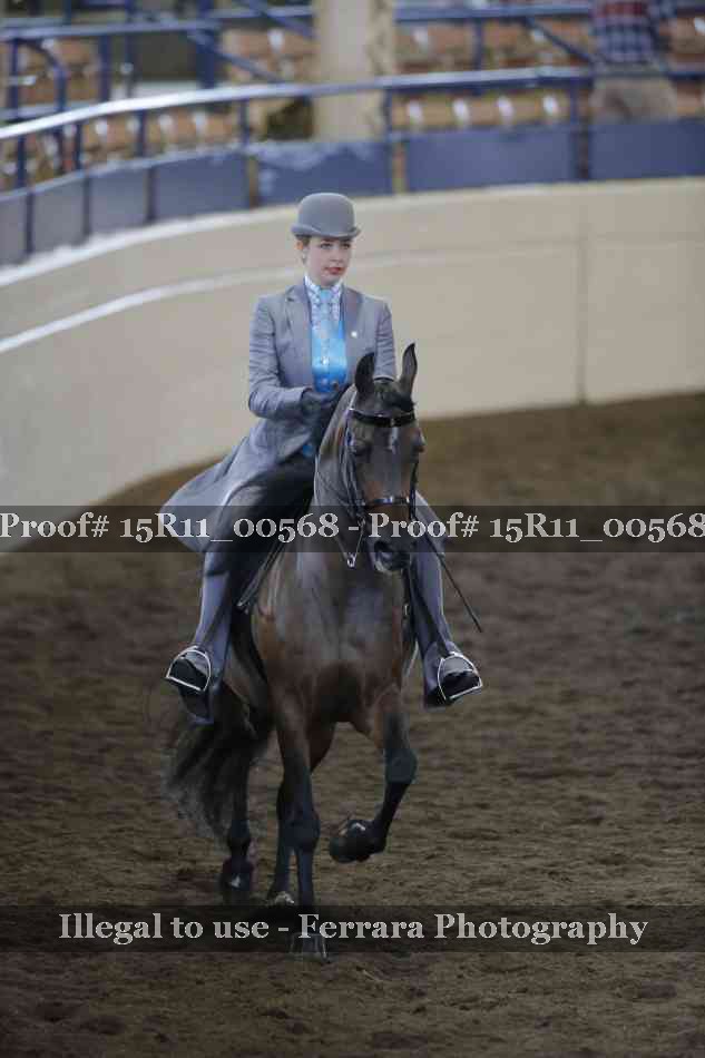 Proof 15R11_00568