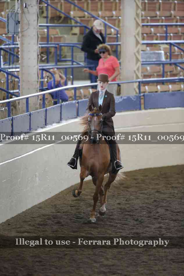 Proof 15R11_00569
