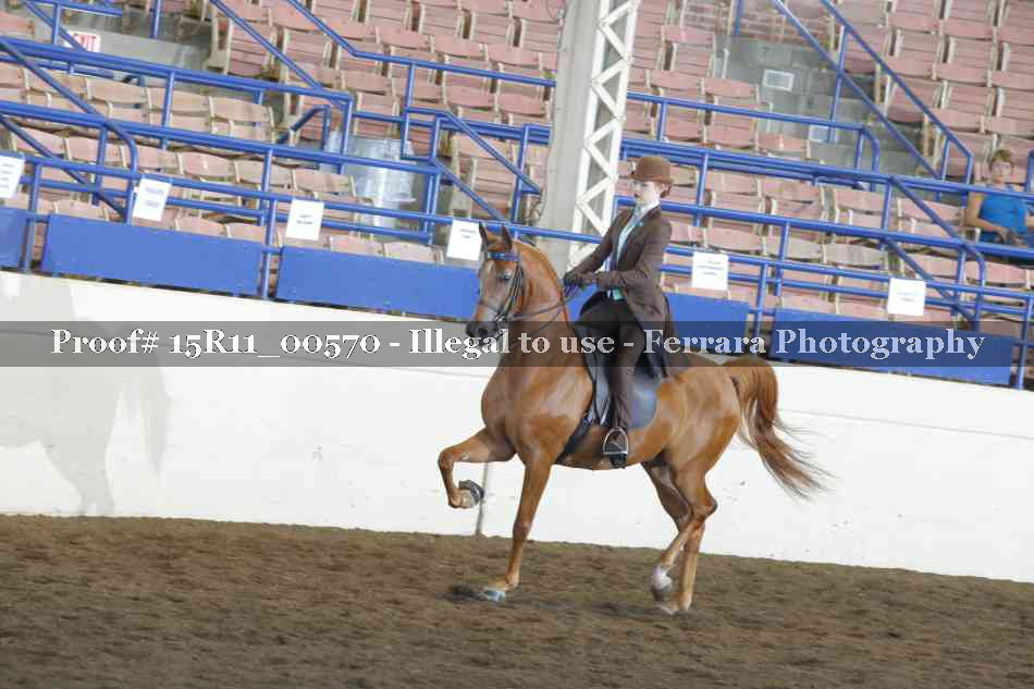 Proof 15R11_00570
