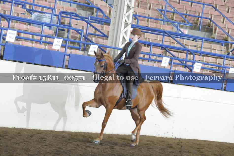 Proof 15R11_00571