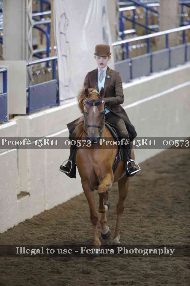 Proof 15R11_00573