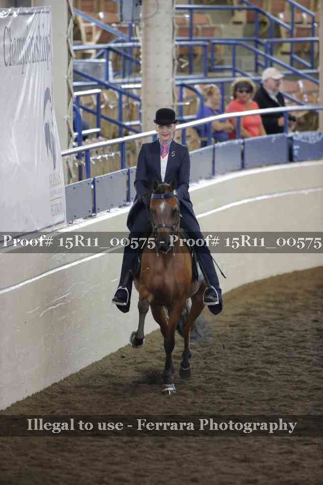 Proof 15R11_00575
