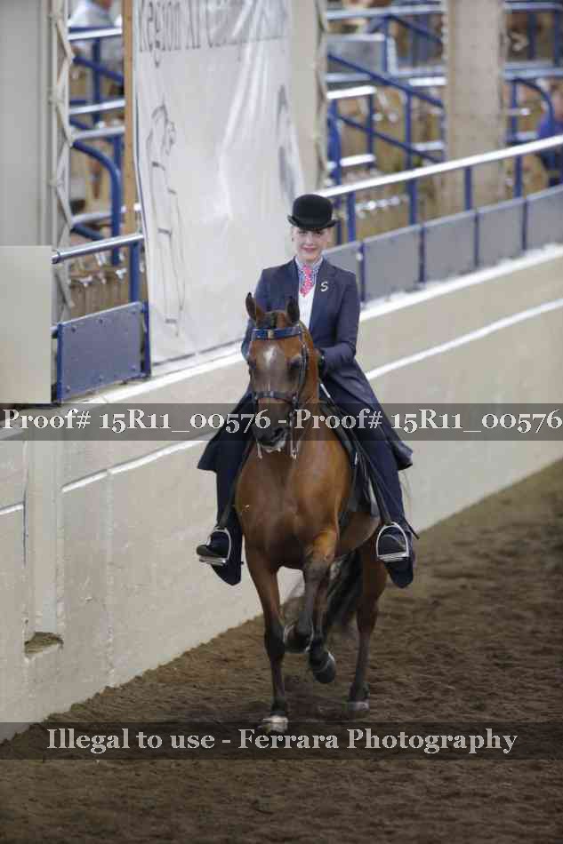 Proof 15R11_00576