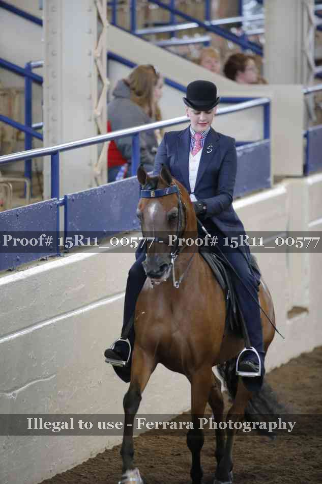 Proof 15R11_00577