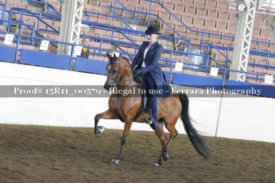 Proof 15R11_00579