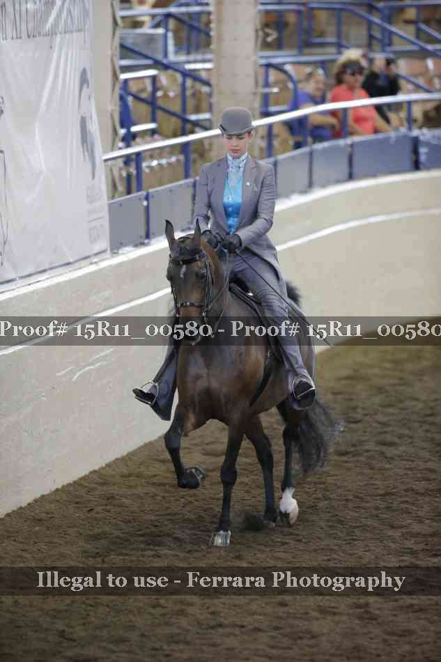 Proof 15R11_00580