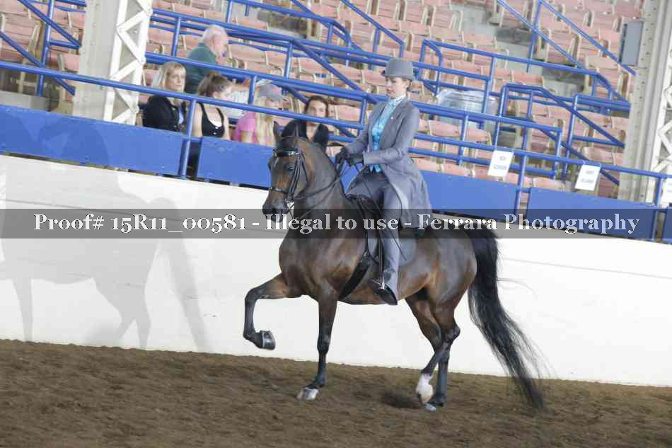 Proof 15R11_00581