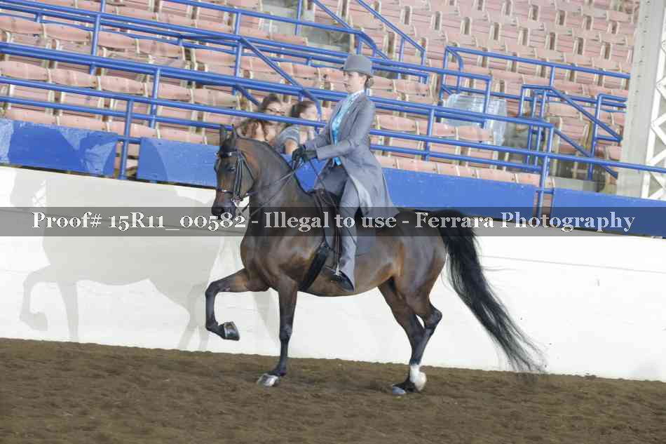 Proof 15R11_00582