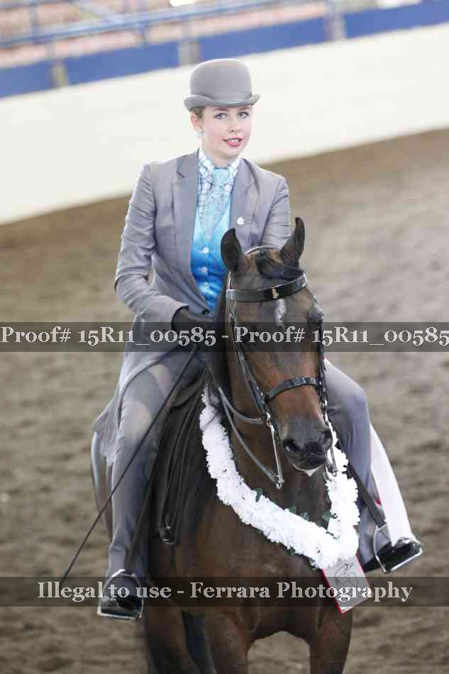 Proof 15R11_00585