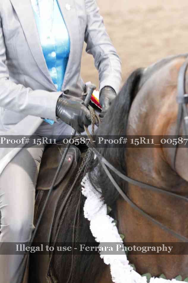 Proof 15R11_00587