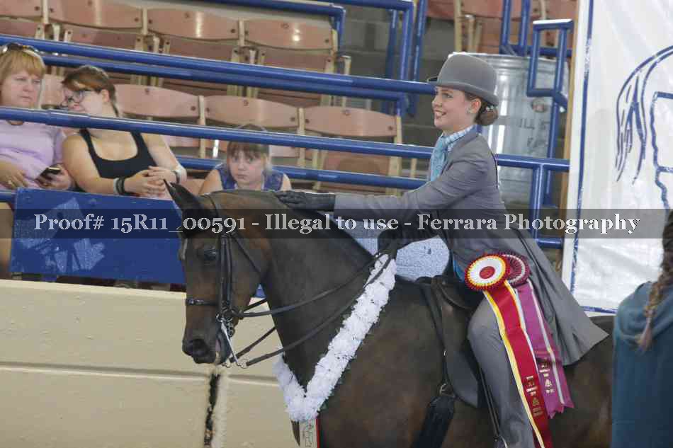 Proof 15R11_00591