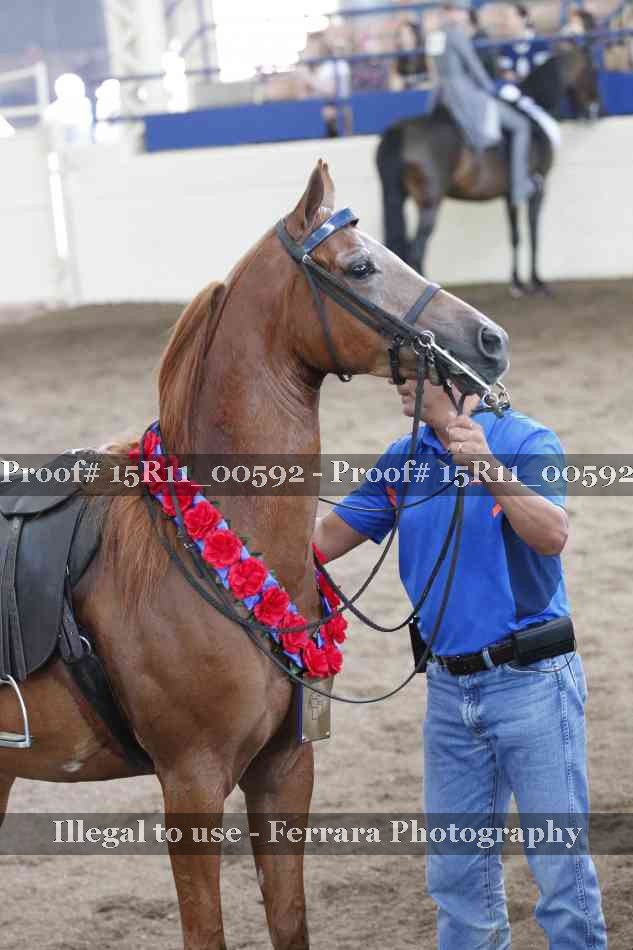 Proof 15R11_00592
