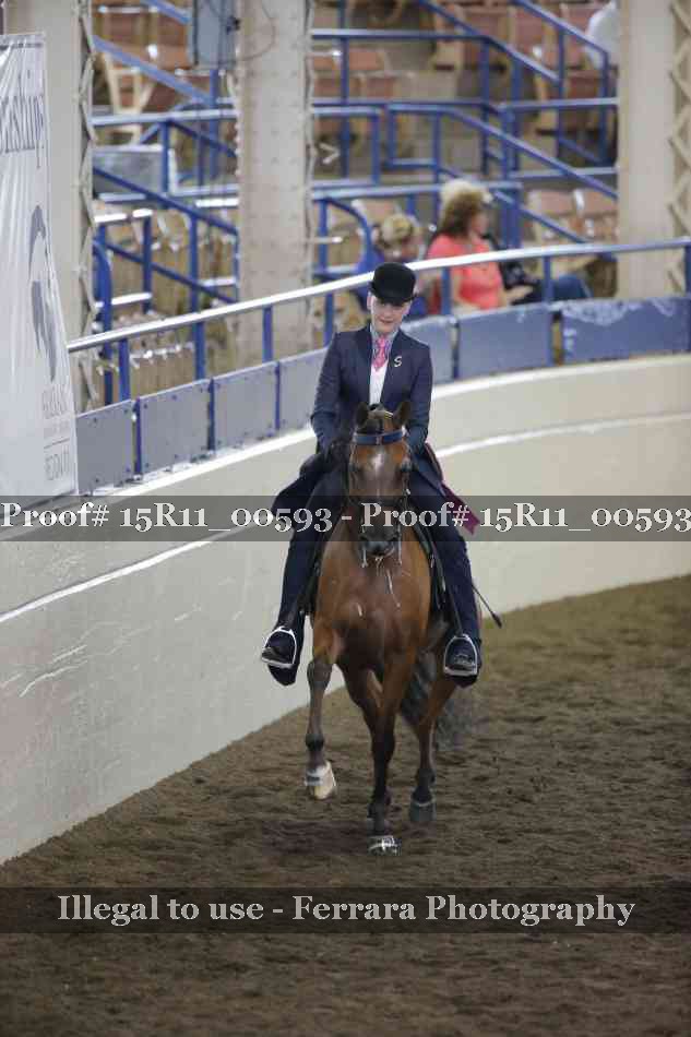 Proof 15R11_00593