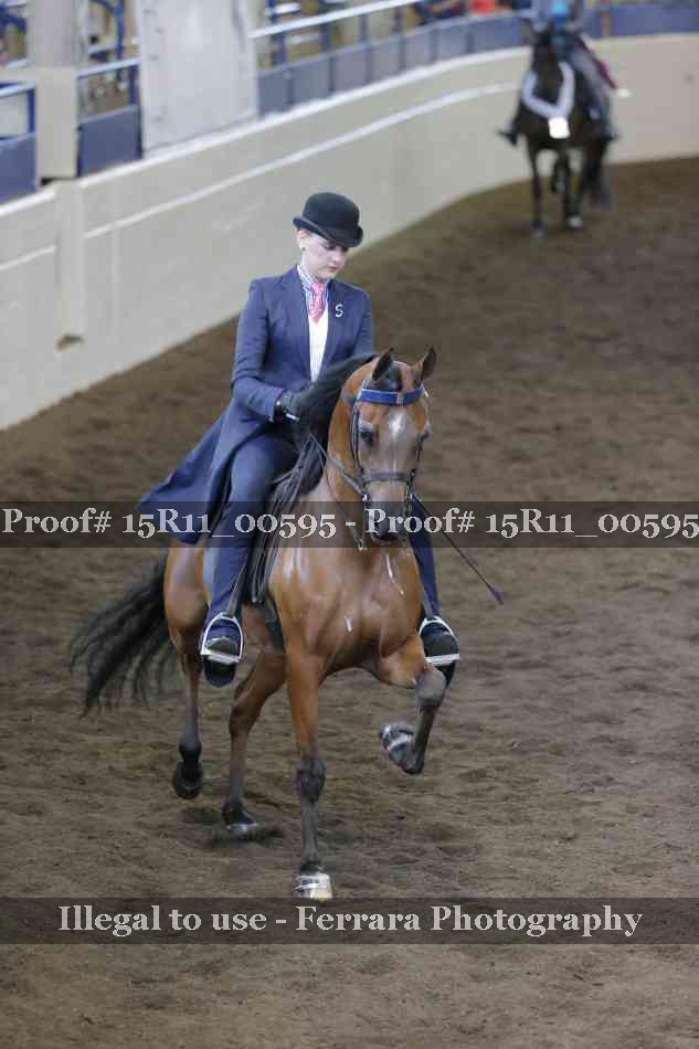 Proof 15R11_00595