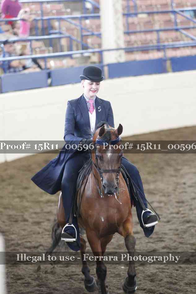 Proof 15R11_00596