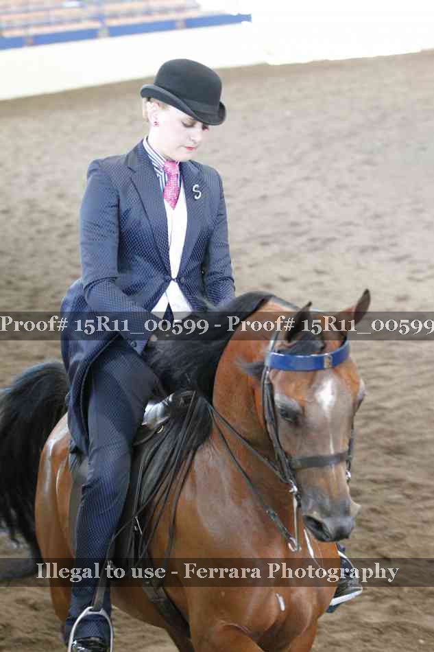 Proof 15R11_00599