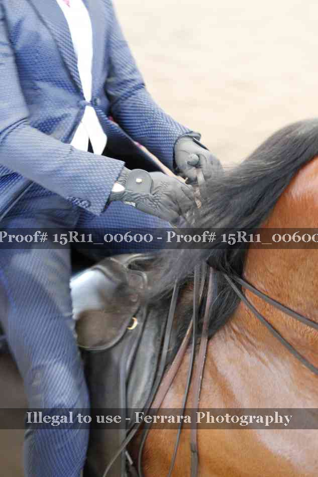 Proof 15R11_00600