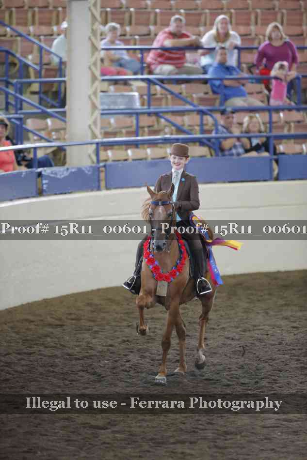 Proof 15R11_00601