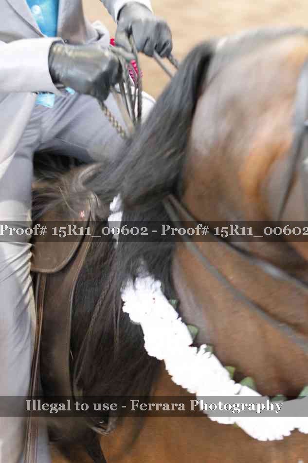 Proof 15R11_00602