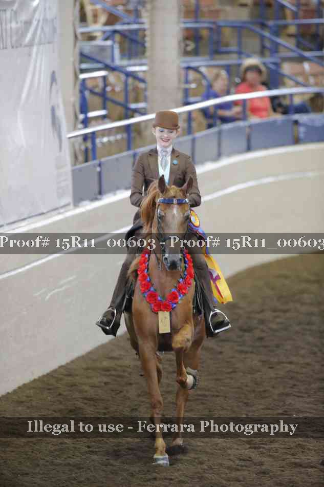 Proof 15R11_00603