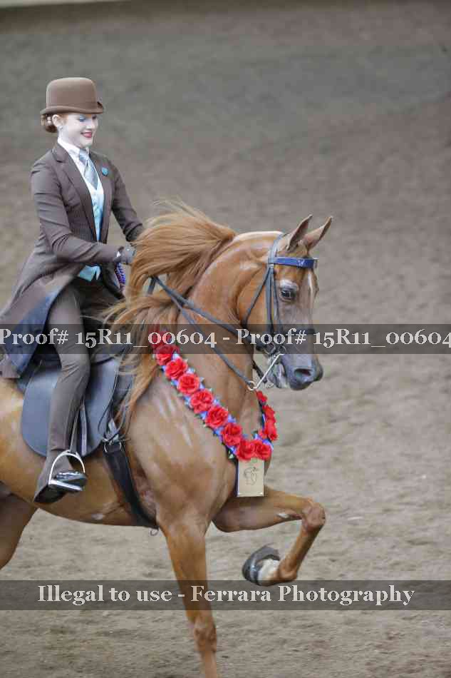 Proof 15R11_00604
