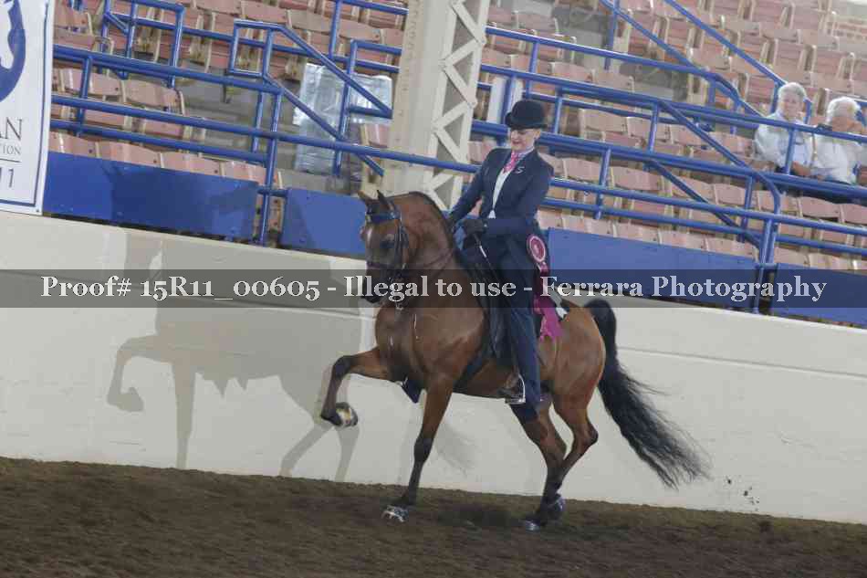 Proof 15R11_00605