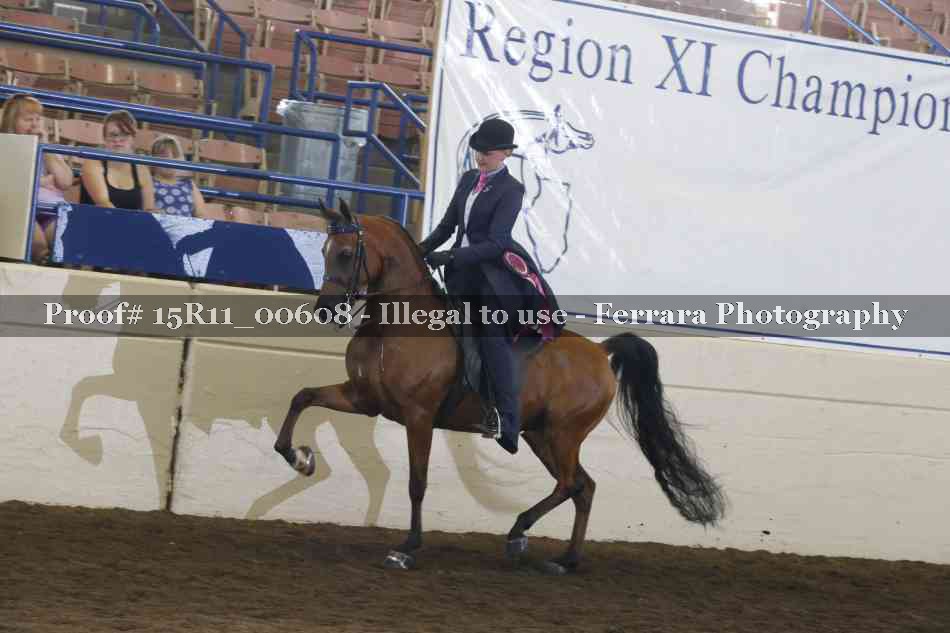 Proof 15R11_00608