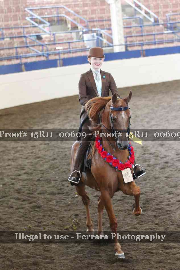 Proof 15R11_00609
