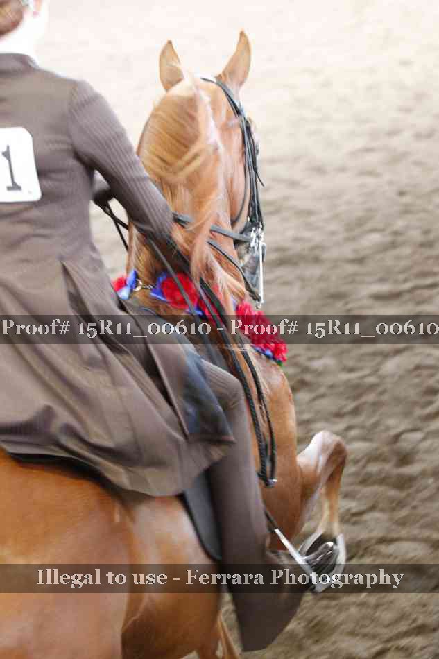 Proof 15R11_00610