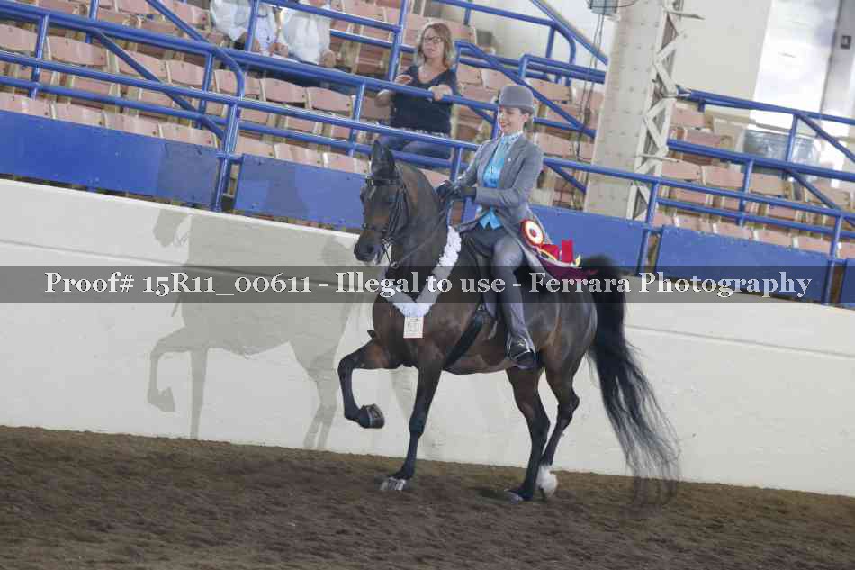 Proof 15R11_00611