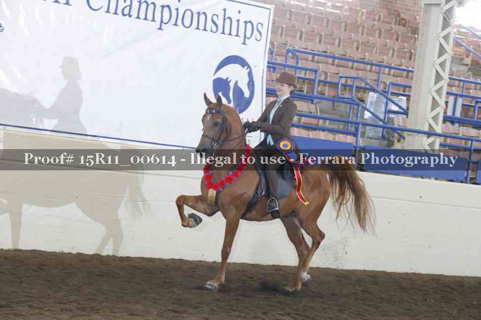 Proof 15R11_00614