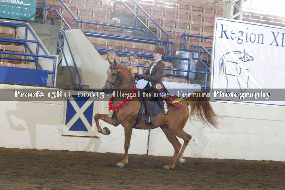 Proof 15R11_00615