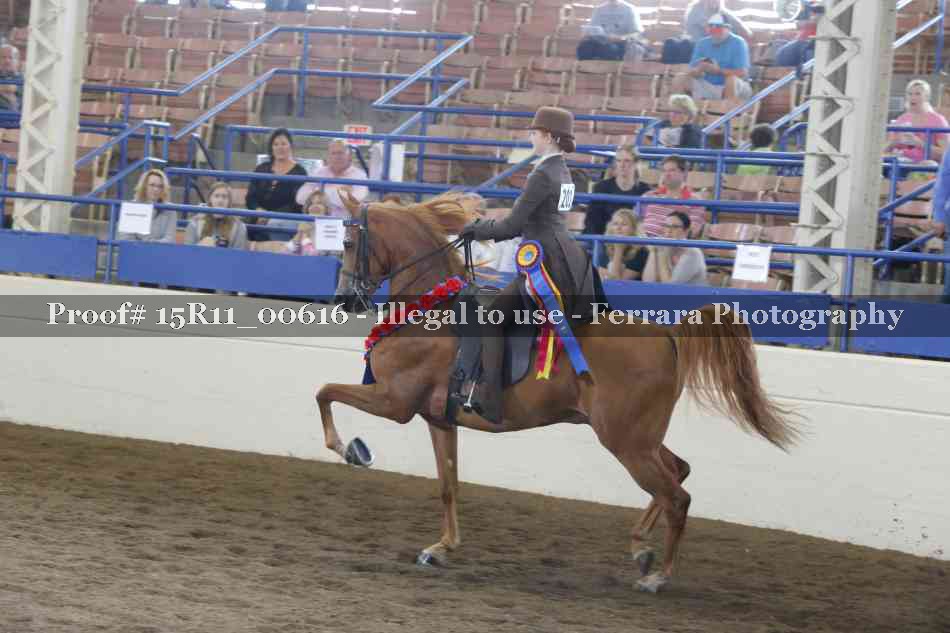 Proof 15R11_00616