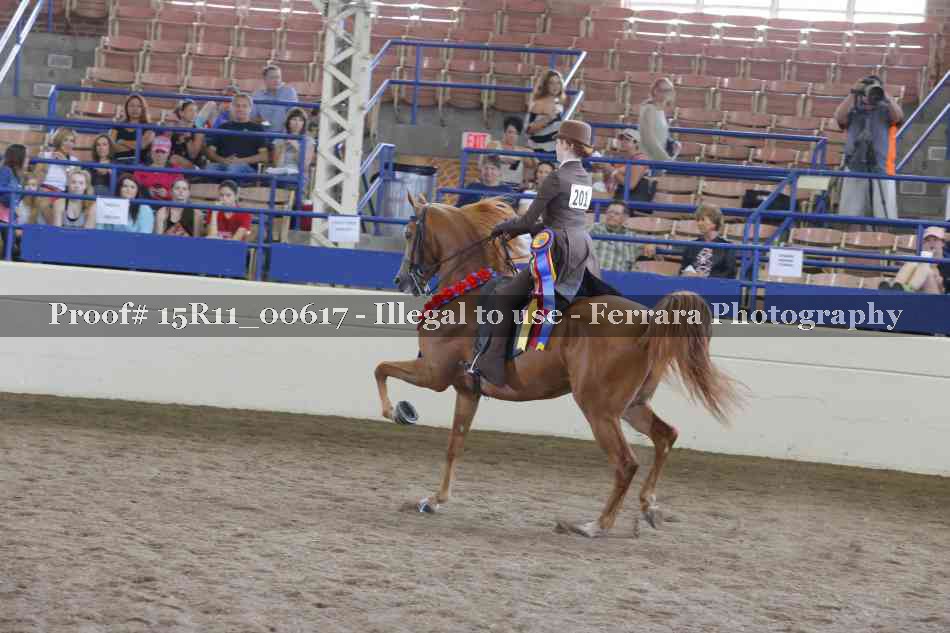 Proof 15R11_00617