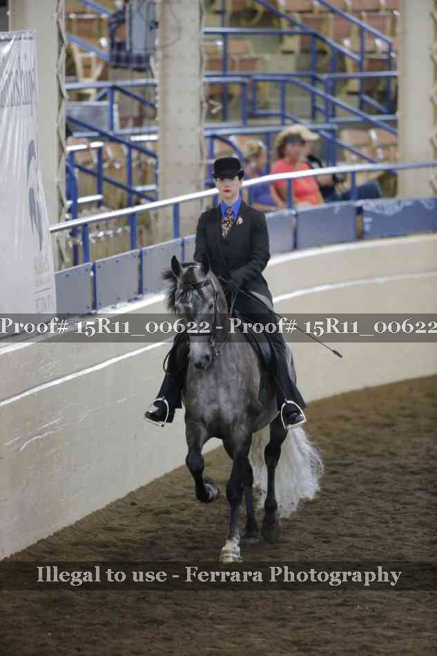 Proof 15R11_00622