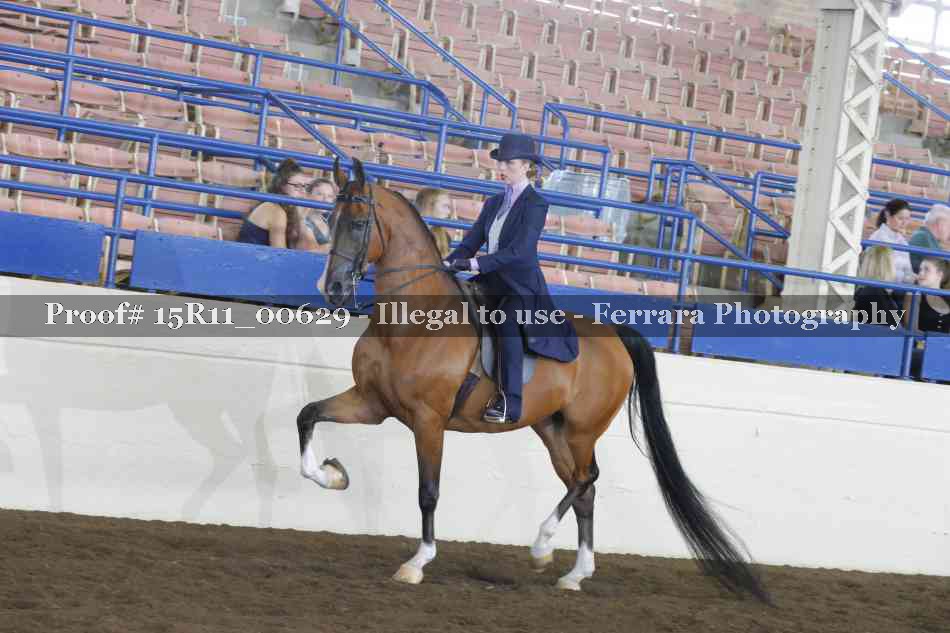 Proof 15R11_00629