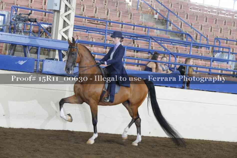 Proof 15R11_00630