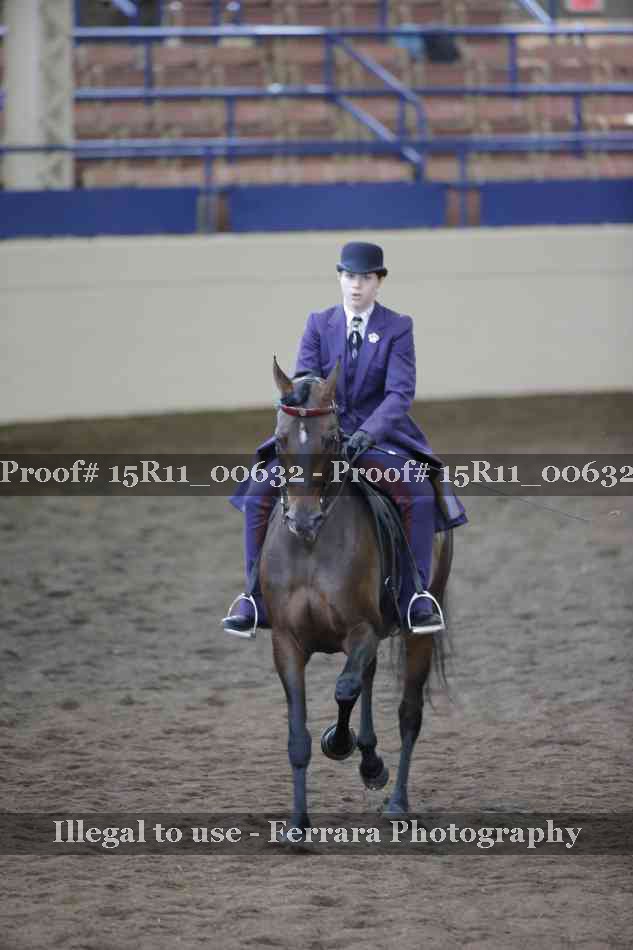 Proof 15R11_00632
