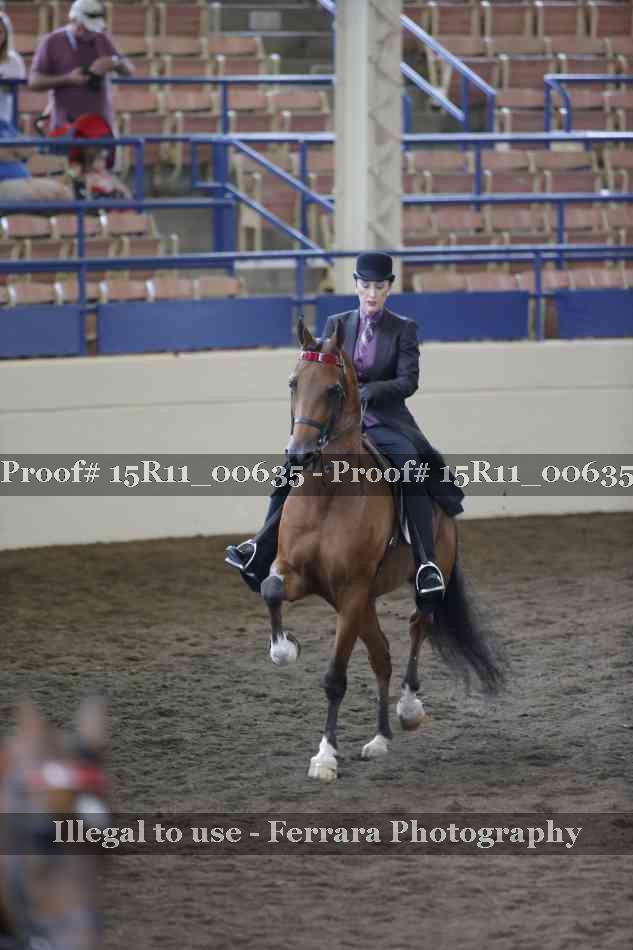 Proof 15R11_00635