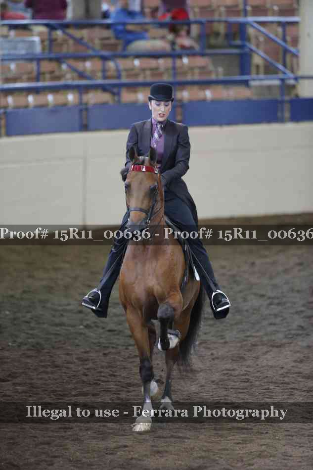 Proof 15R11_00636