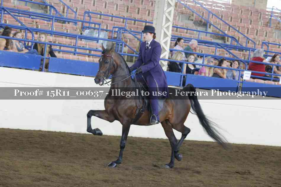 Proof 15R11_00637